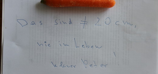 20cmKarotte